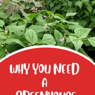 Why You Need a Greenhouse