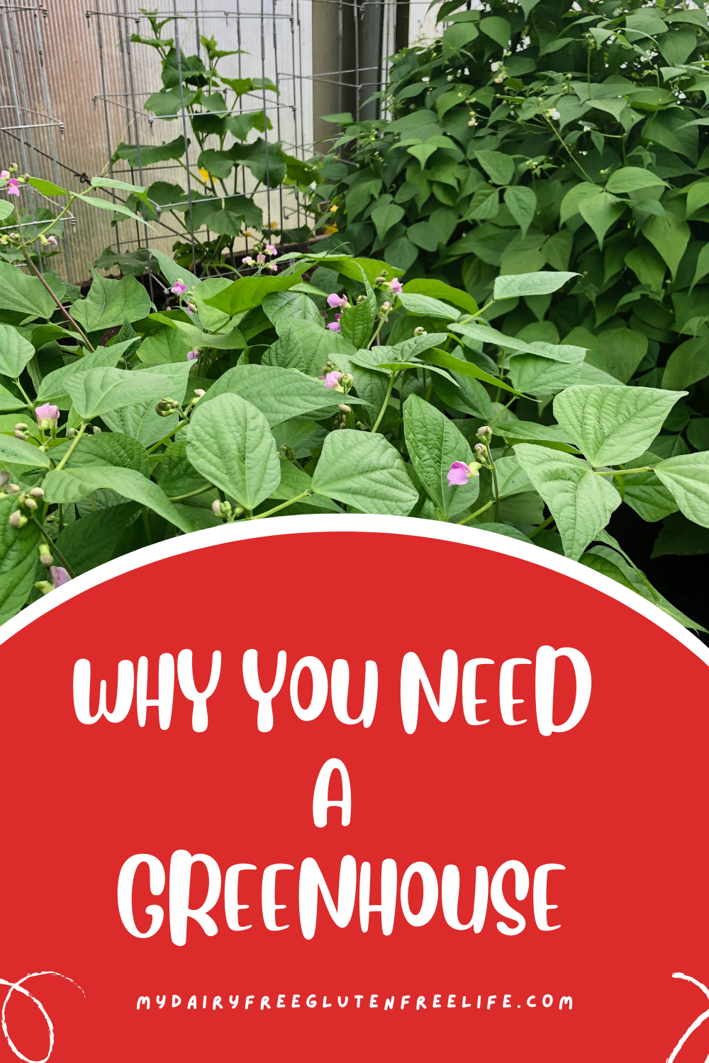 Why You Need a Greenhouse