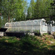 Greenhouses in Alaska