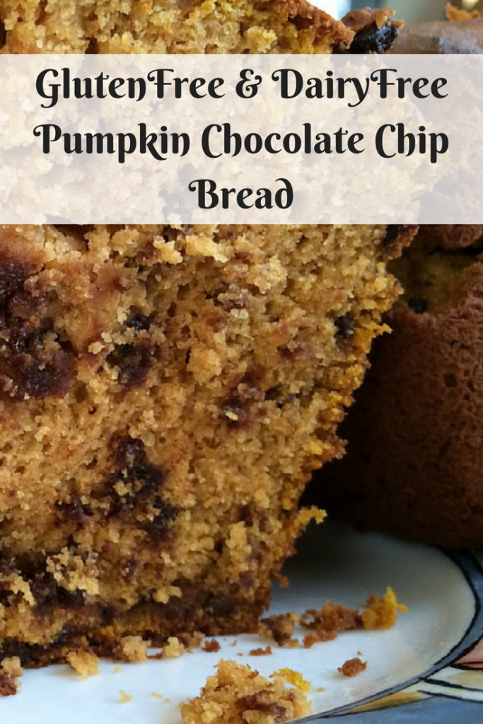 GlutenFree & DairyFree Pumpkin Chocolate Chip Bread