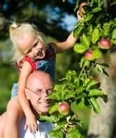 Fun Fall Activities for the Family