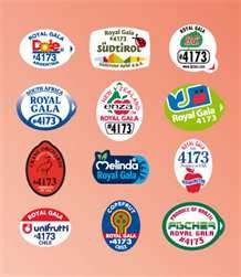 The little sticky PLU labels on fresh produce mean its either GMO or not!