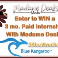 Enter to WIN a Paid Internship $200/mo #BlueRooDeals #MadameDealsMedia