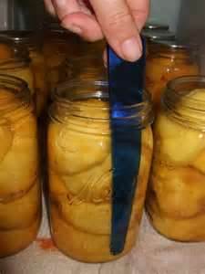 How to Can Fruit to Preserve your Premium Foods