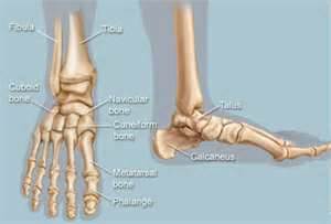 A Look At Three Important Types Of Solutions To Solve Your Foot Drop Problems