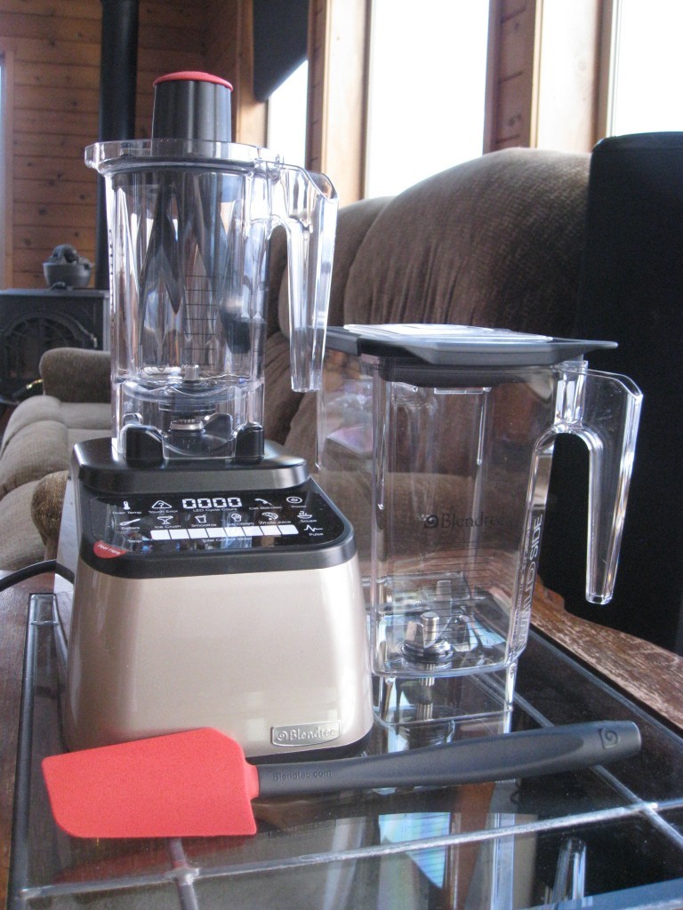 Why I chose a Blendtec Blender – My Review