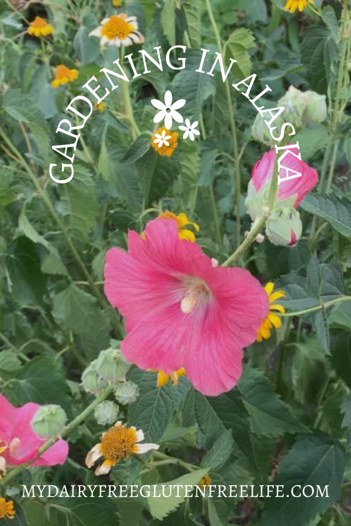 Gardening in Alaska