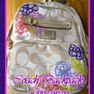 Vacation Coach Giveaway