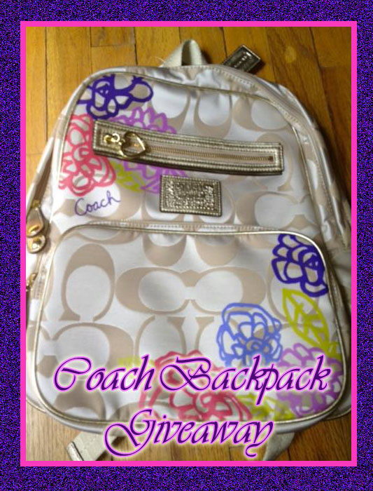 Vacation Coach Giveaway