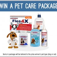 #PayItForward with #PetMeds Prize Package to WIN & GIVE