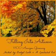 $100 Amazon GC Falling into Autumn Giveaway