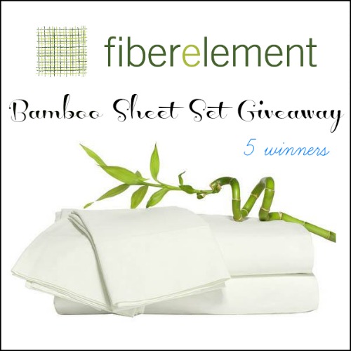 FiberElement Giveaway
