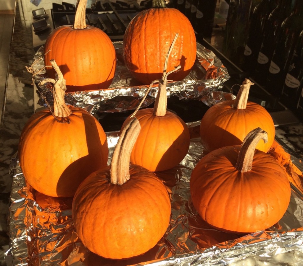 How to Bake Fresh Garden Pie Pumpkins