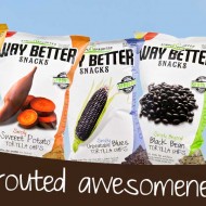 Way Better Snacks Review