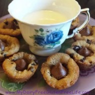 Chocolate Chip Cookie Bites