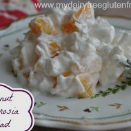 Coconut Ambrosia Salad Dairy & Gluten Free