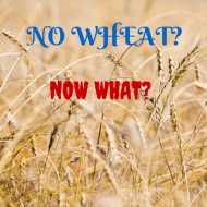 You’re Diagnosed Celiac or Gluten Intolerant  – Now What?