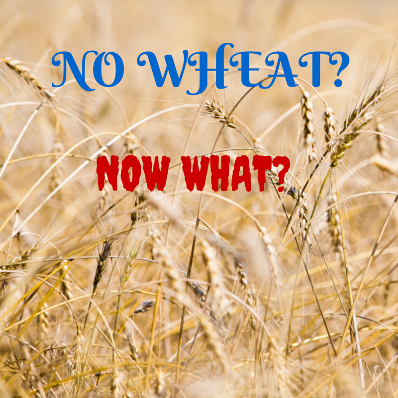 You're Diagnosed With Celiac Disease or Gluten Intolerance  - Now What?