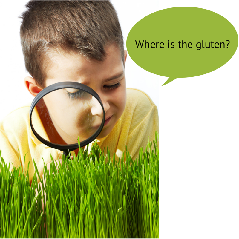 What is Gluten In?