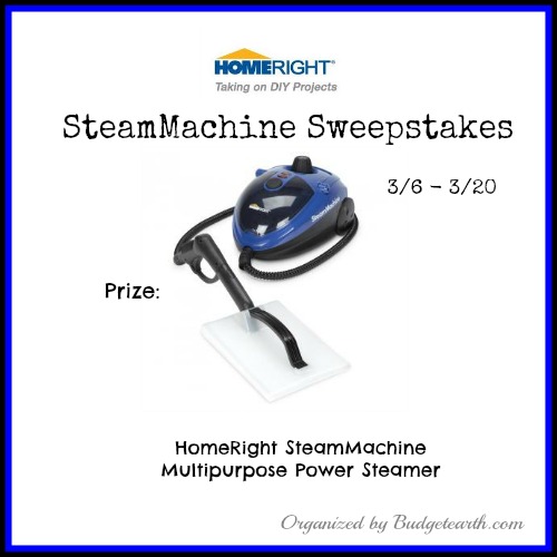 Homeright SteamMachine Giveaway