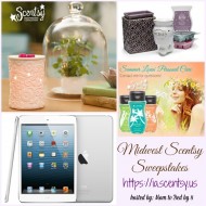 iPad Mini and Scentsy Companion System Giveaway