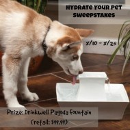 Hydrate Your Pet Giveaway with a Drinkwell Fountain