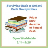 Surviving Back to School $100 Cash Giveaway