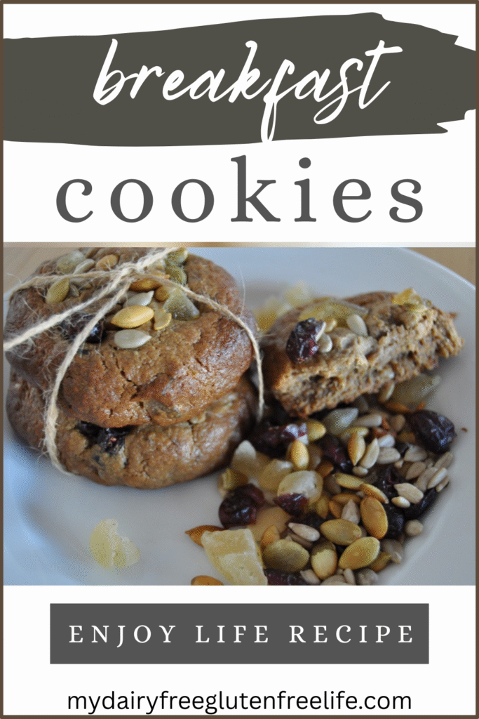 Enjoy Life Seed and Fruit Breakfast Cookie Recipe & Review