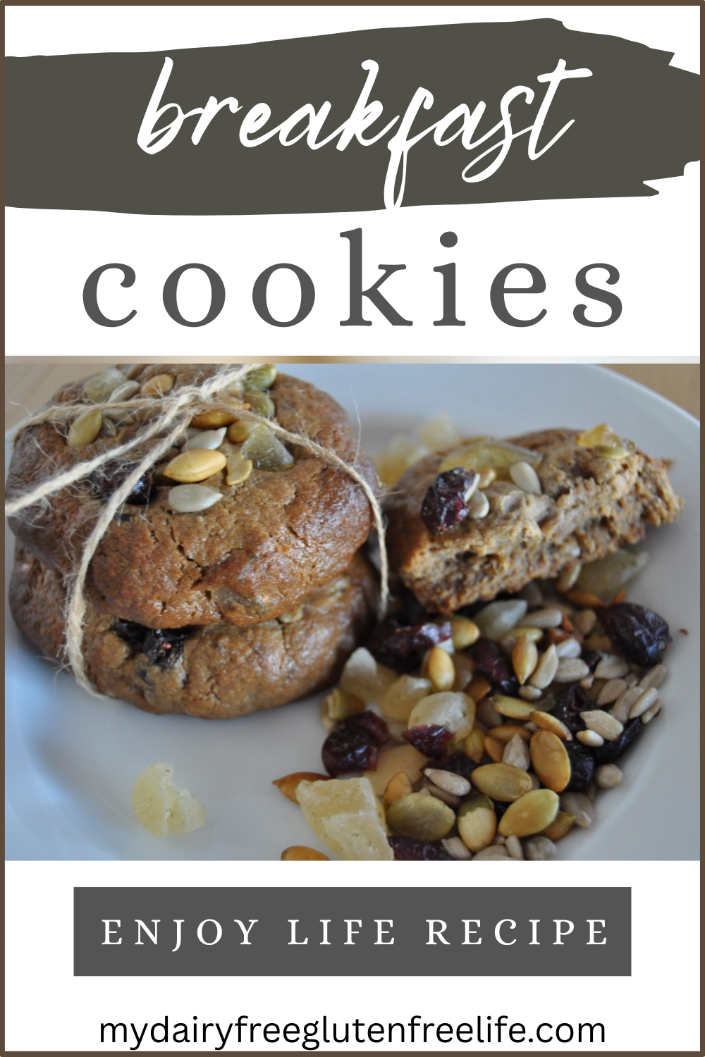 Enjoy Life Seed and Fruit Breakfast Cookie Recipe & Review