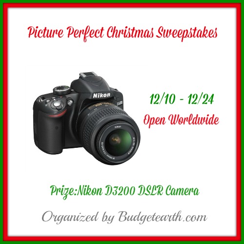 Nikon D3200 DSLR Picture Perfect Christmas Giveaway