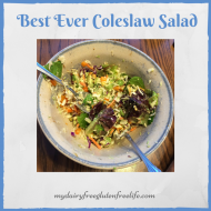 Best Ever Coleslaw Salad Recipe
