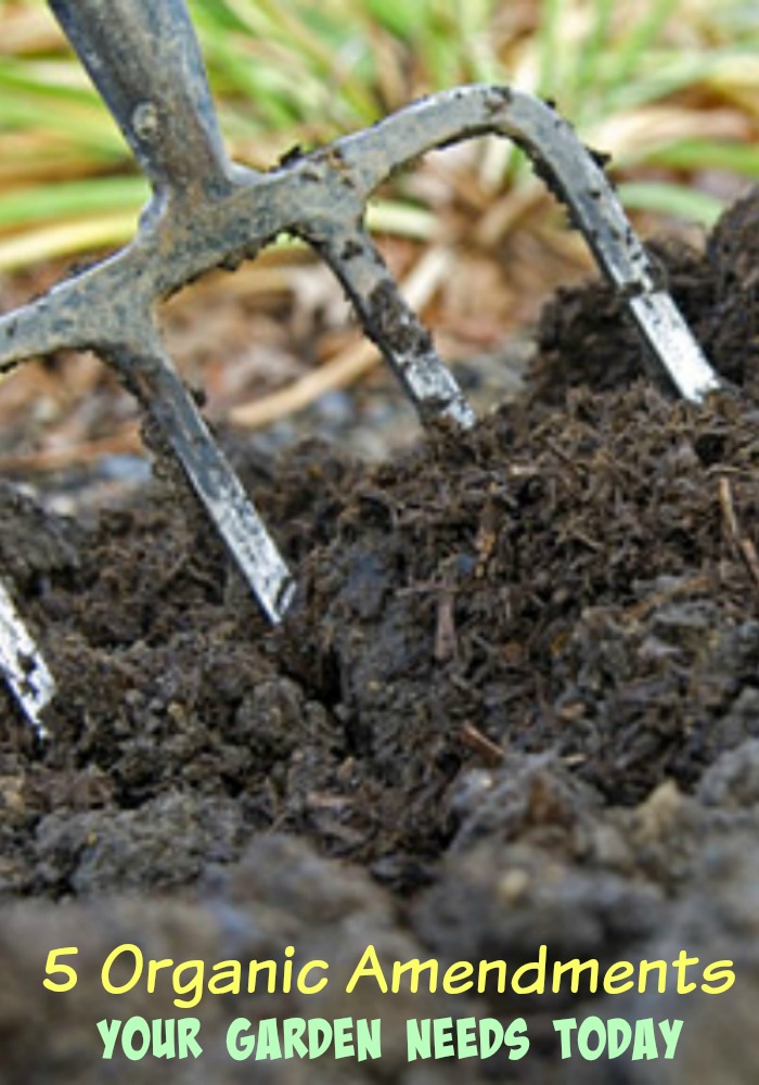 5 Organic Garden Amendments