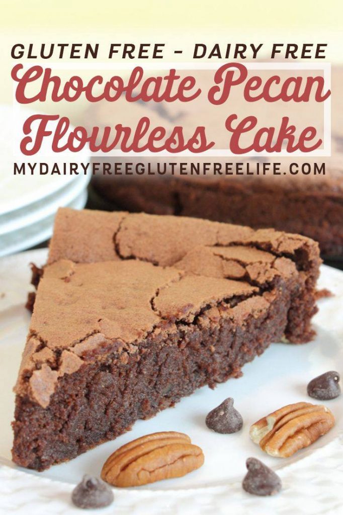 Chocolate Pecan Flourless Cake Recipe | Gluten Free Chocolate Cake | Dairy Free Dessert | Gluten Free Dessert | DF GF Cake Recipe