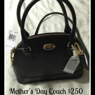 Mother’s Day Coach Purse Giveaway