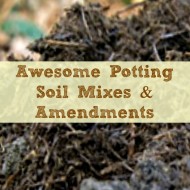 Awesome Potting Soil Mixes and Amendments for your Garden