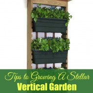 Tips to Growing a Stellar Vertical Garden