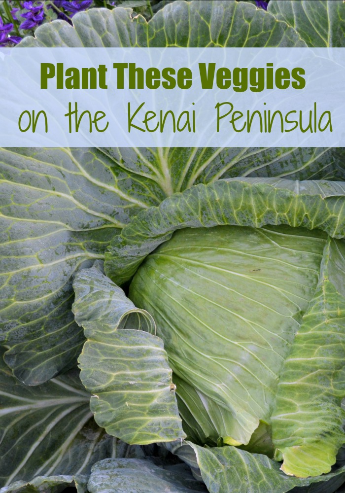 Veggies for the Kenai Peninsula