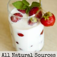 All Natural Sources Of Probiotics