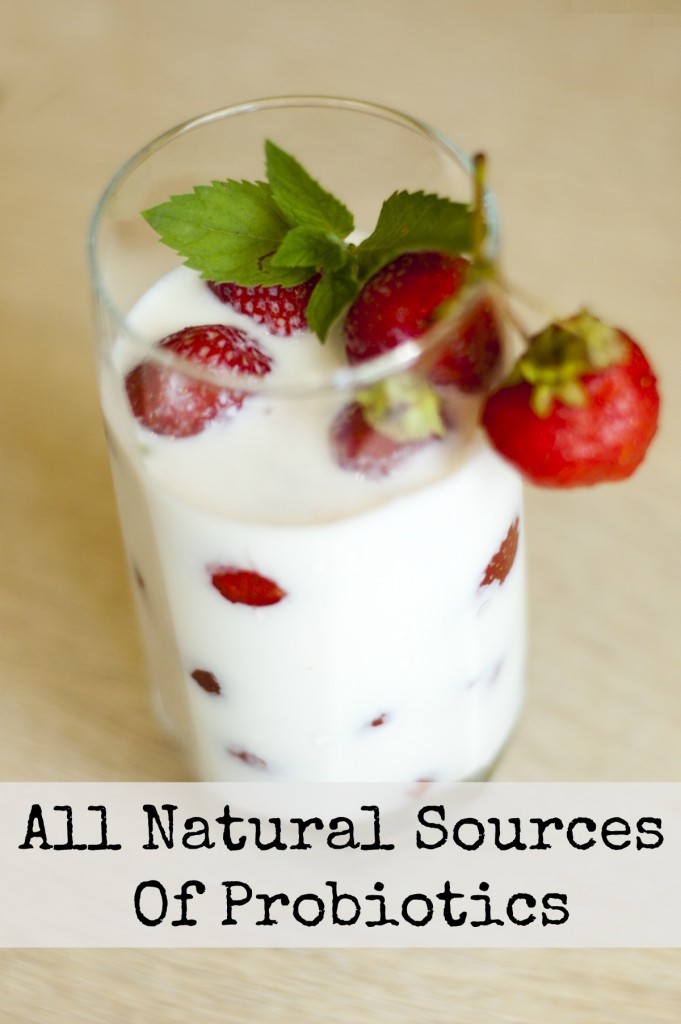 All Natural Sources Of Probiotics