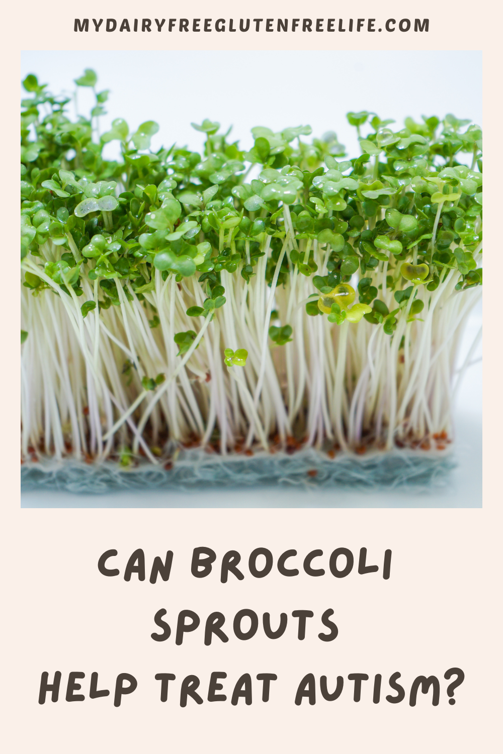 Can Broccoli Sprouts Help Treat Autism?