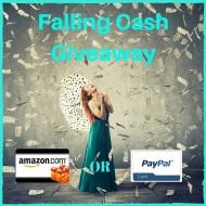 $300 Falling Cash Giveaway