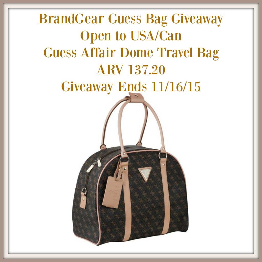 BrandGear Guess Bag Giveaway ARV $137.20
