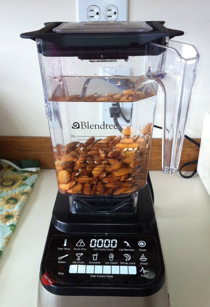 Blendtec Review