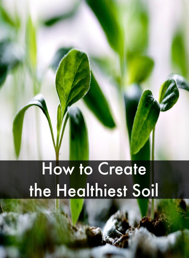 How to Create the Healthiest Soil