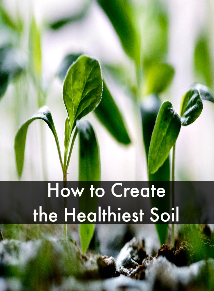 How to Create the Healthiest Soil