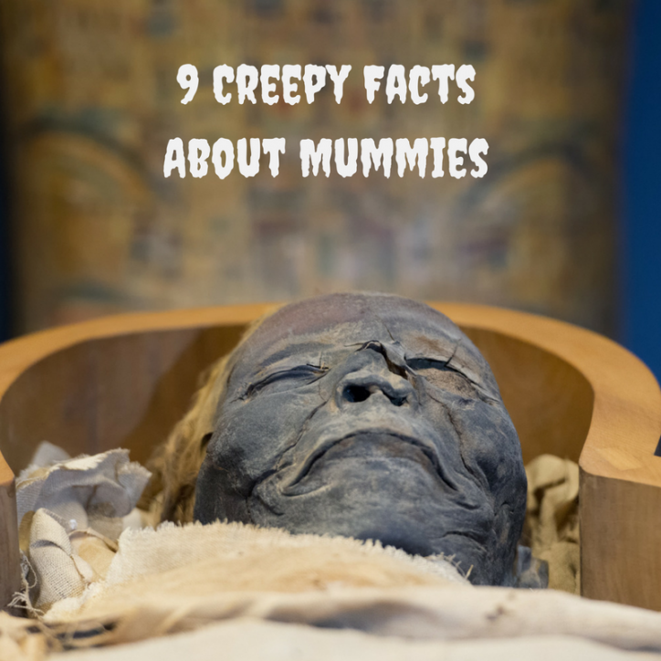 MummyFacts