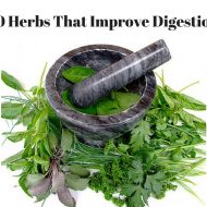 10 Herbs That Improve Digestion