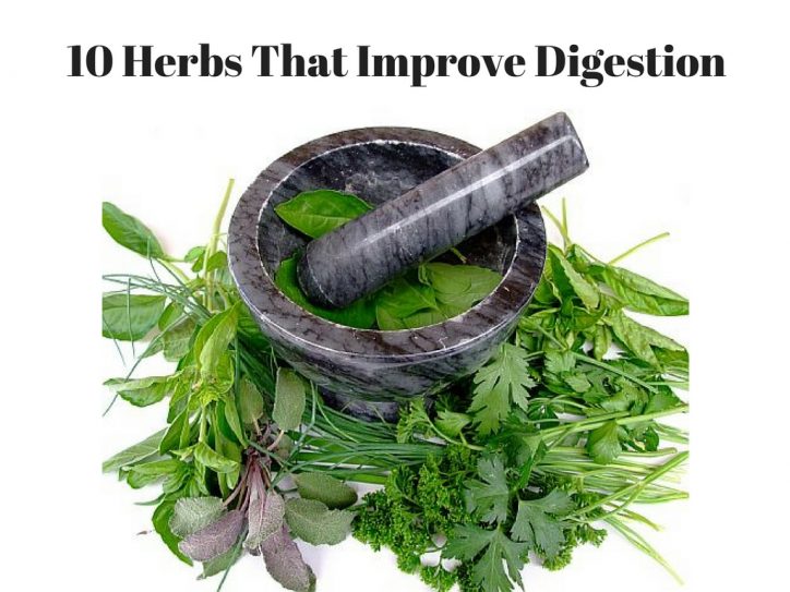 10-herbs-that-improve-digestion-1
