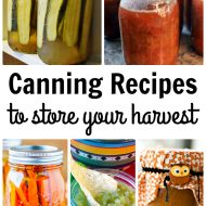 Canning Recipes to Store Your Harvest
