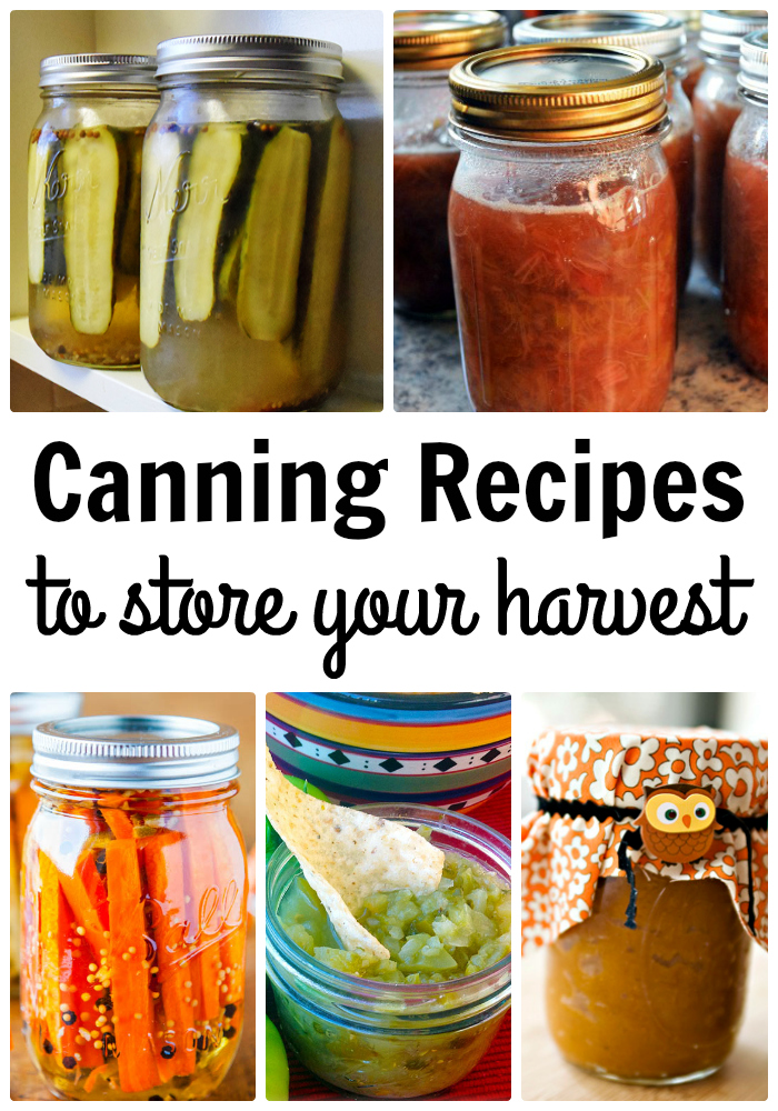 Canning Recipes to Store Your Harvest
